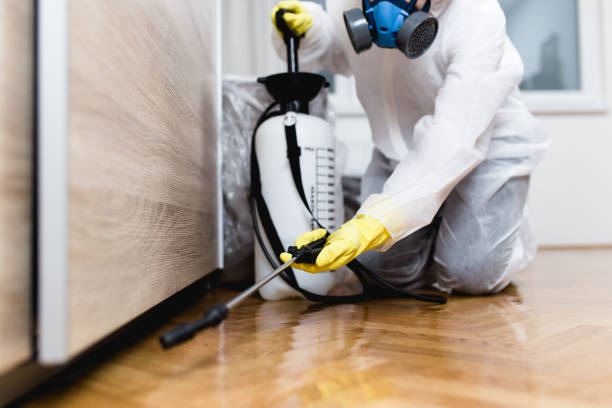 Trusted Akron, NY Pest Control Experts