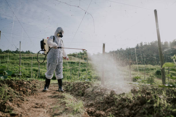 Best Ant Control Services  in Akron, NY