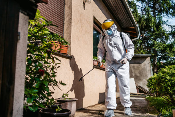 Insect Control in Akron, NY