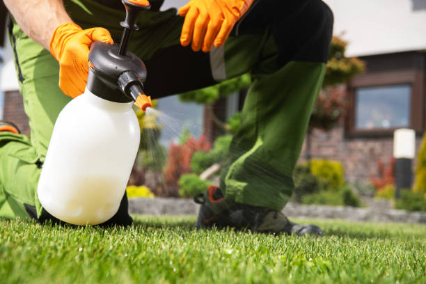 Pest Control Cost in Akron, NY