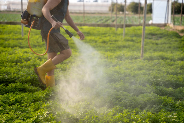 Best Mosquito Control Services  in Akron, NY